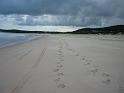 2011_05_Australia (282)